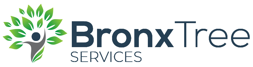 24 hour emergency tree services in the Bronx