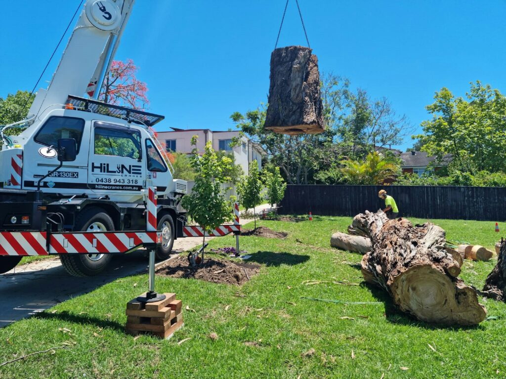 Crane lifting a large tree onto a truck during tree removal