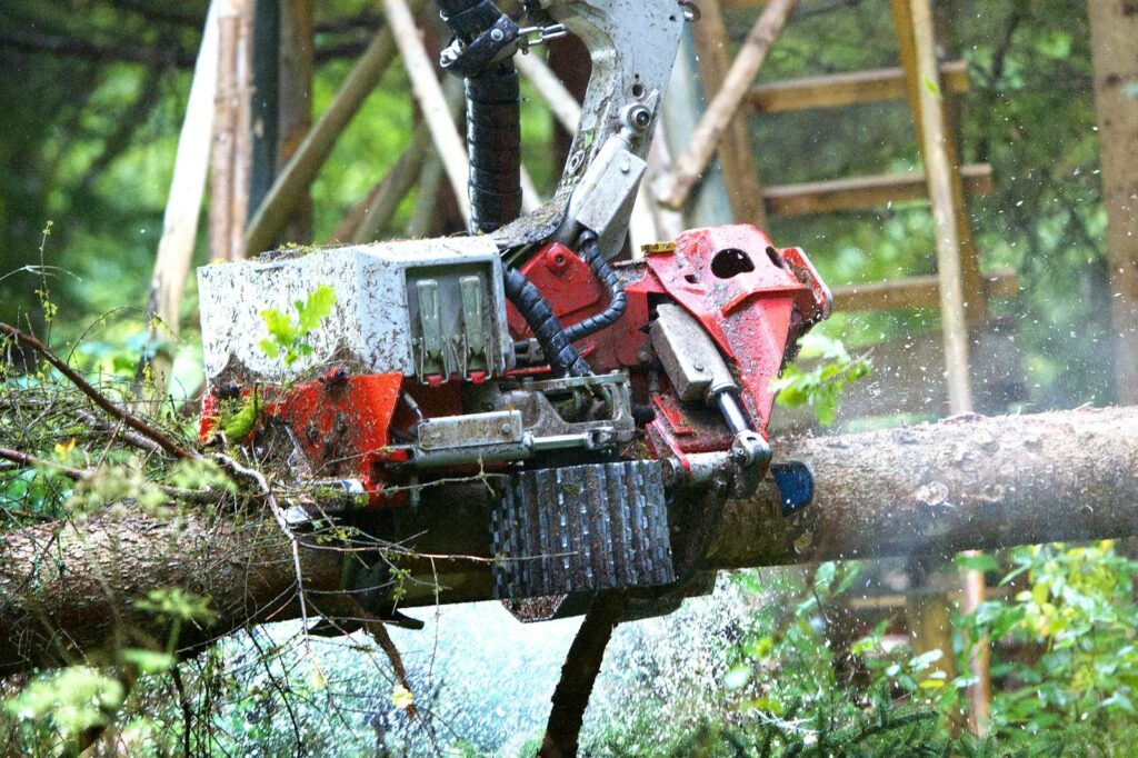 Chainsaw cutting a fallen tree trunk